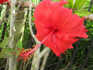 IMG_0330.jpg