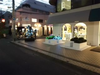 CIMG0618.jpg