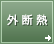 �e���W�}�A�[�L�e�N�c�̊O�f�M